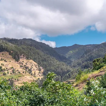 Estrela Atlantica * Calheta (Madeira)